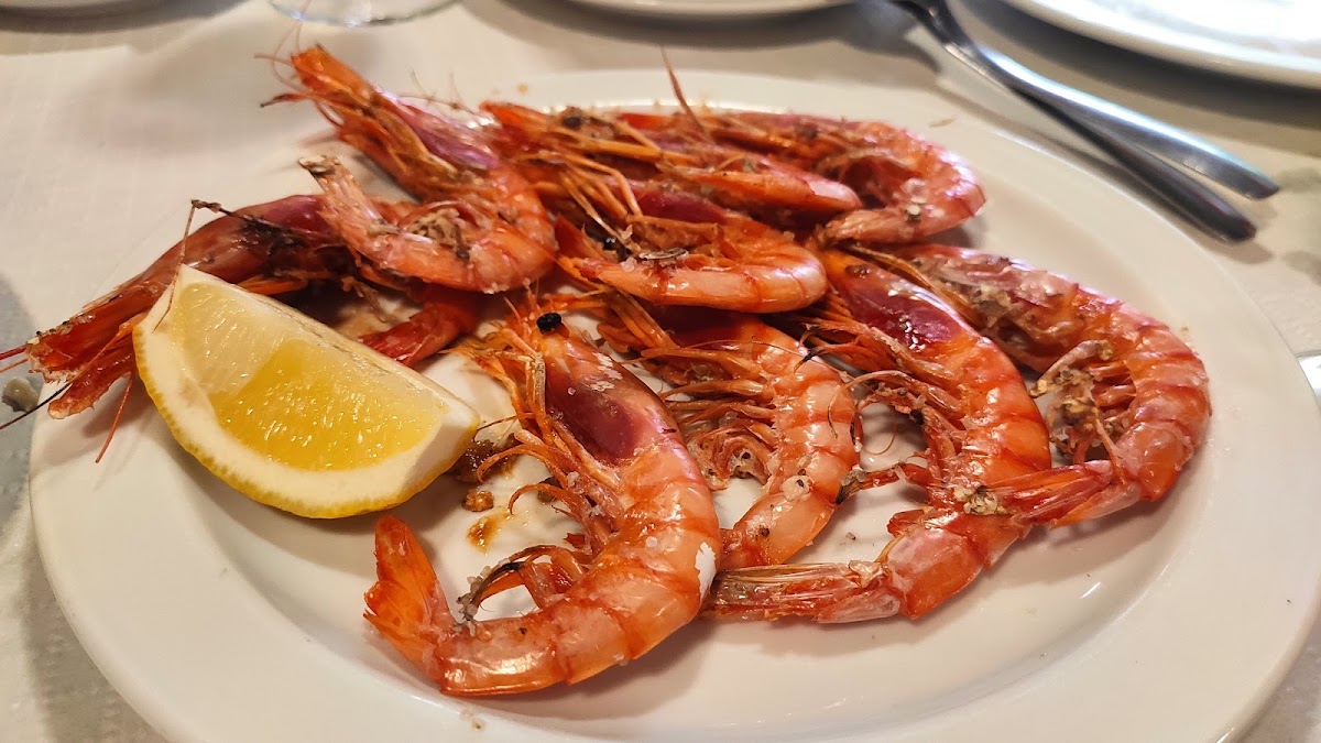 Cervecería La + Fría Marbella
