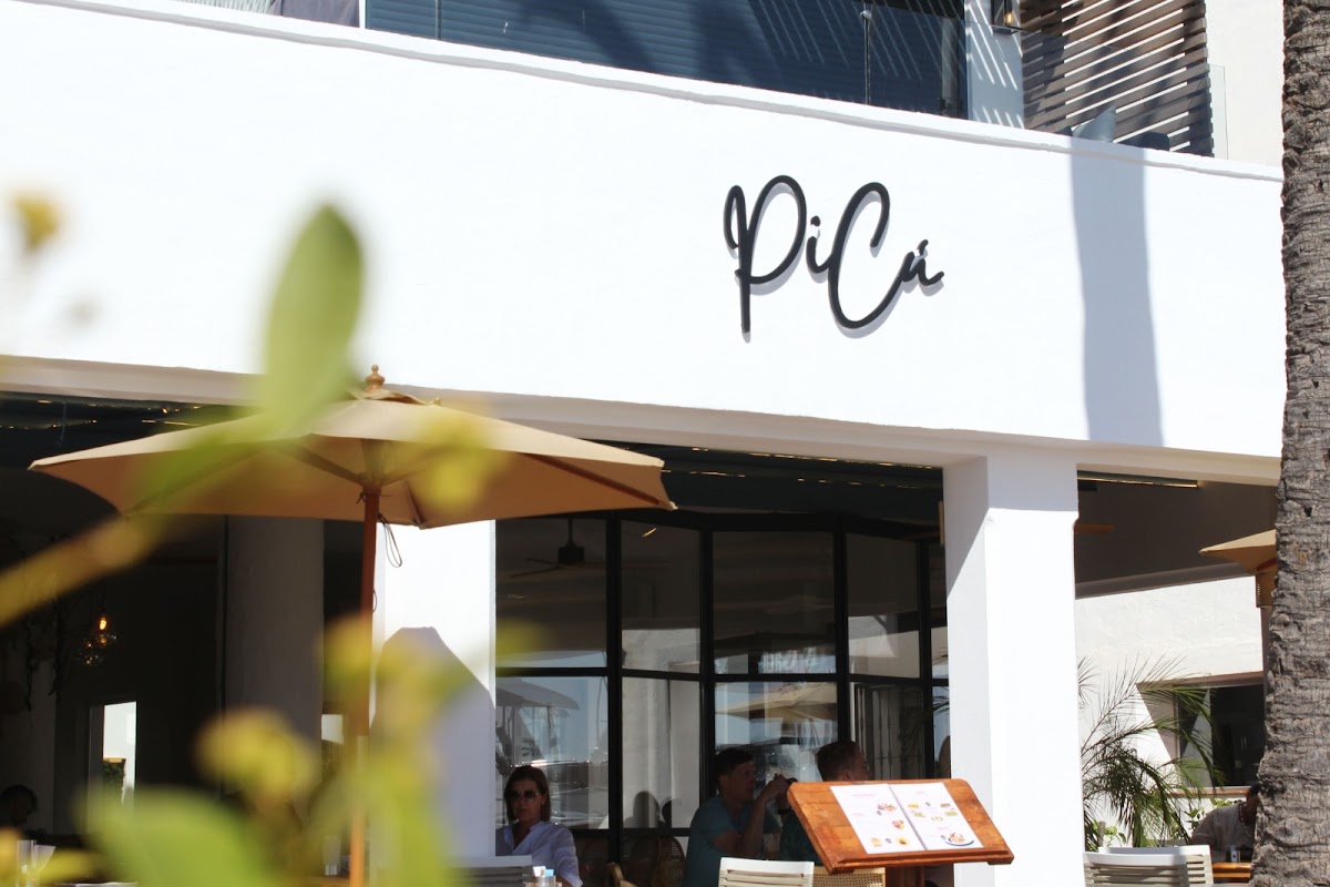 PiCú Puerto Banús