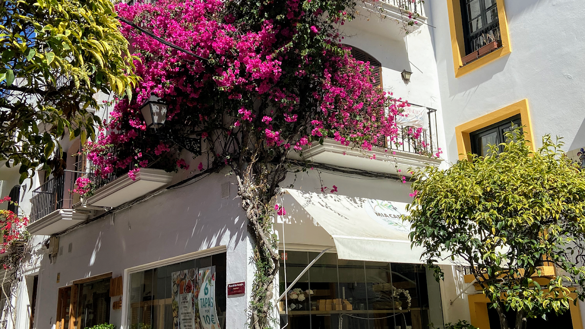 MIA CAFE - Tapas & Bar