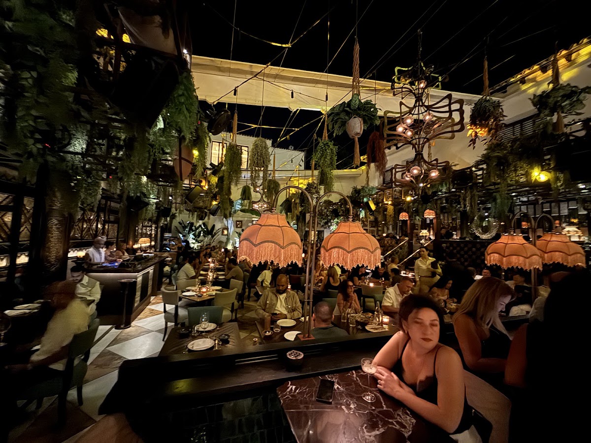 COYA Club Marbella