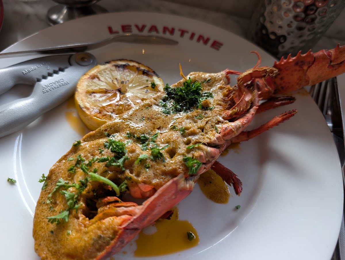 Levantine